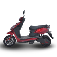 Moto électrique professionnelle de haute qualité 1000W, scooter intelligent à deux roues, véhicule électronique, batterie au lithium en vente