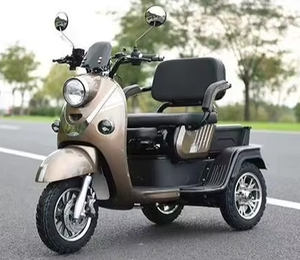 2025 vente chaude d'<span class=keywords><strong>occasion</strong></span> en acier <span class=keywords><strong>vélo</strong></span> <span class=keywords><strong>électrique</strong></span> moyeu arrière moteur 3 vitesses 3 roues conception batterie plomb-acide alimentation 400kg charge - Product Image 3