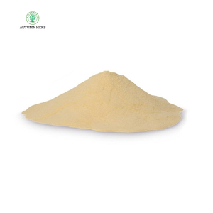 Sonbahar Bitkisi N-Z-AMİN Kazein Asit Hidrolizatı 65072-00-6 - Product Image 1