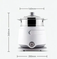 Vente en gros 304 pot portable en acier inoxydable de qualité alimentaire appareil de cuisine électrique multifonctionnel pour dortoir économiseur d'énergie