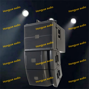 Chuyên Nghiệp Đảng Sử Dụng Dòng Mảng 12 Inch Thụ Động 2 Cách Gỗ Dòng Mảng Loa Tủ Cho Ngoài Trời Buổi Hòa Nhạc - Product Image 6