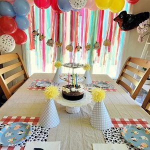 Damai <b>Custom</b> Pet Party Supplies Puppy Birthday Paper Plate Pennant <b>Balloon</b> Decorations Set for Dog Birthday Party - Product Image 5