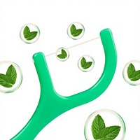 Fil dentaire double fil biodégradable à 100 %, saveur menthe fraîche, emballage OEM ODM, faible MOQ