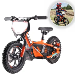 Electric 36V 5AH 12-Inch Ride on Cycle No-Pedal Bike for 3-8 Year Old Kids Steel Fork Disc Brake Kids Balance Bicycle