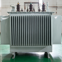 Transformateur de distribution immergé dans l'huile à noyau amorphe S20, ultra faible perte, 10-35 kV, triphasé, IEC60076, sur mesure