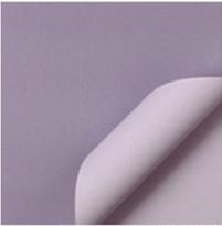 06 Frost violet + violet clair