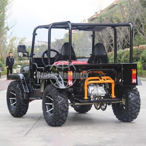 Vehículo Todoterreno Importado de China, Mini Jeep de 200cc, Mini Jeep de 250cc, Buggy 4x4 para Adultos en Venta - Product Image 4