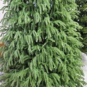 Arbre de Noël artificiel géant de 8 pieds, grandes feuilles en forme de saule, matériau PE souple, arbre de Noël tout en PE avec base rotative - Product Image 3