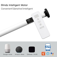 Stores enrouleurs zébrés motorisés électriques encastrés, sans fil, sur mesure, intelligents, pour usage domestique, avec télécommande, pour fenêtres