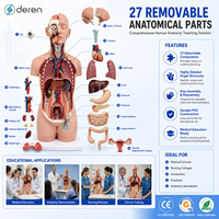 Model Anatomi Torso Manusia 85cm 27-Bagian Ukuran Asli Unisex Alat Pengajaran Medis Sains Biologi Perlengkapan Edukasi Plastik
