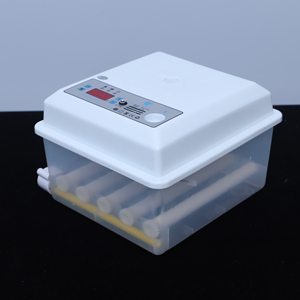 Incubateur Intelligent Mini Ménager Hautement Automatique 9/12/16 Œufs pour l'Incubation <span class=keywords><strong>d</strong></span>'Œufs <span class=keywords><strong>d</strong></span>'<span class=keywords><strong>Oiseaux</strong></span> - Product Image 2