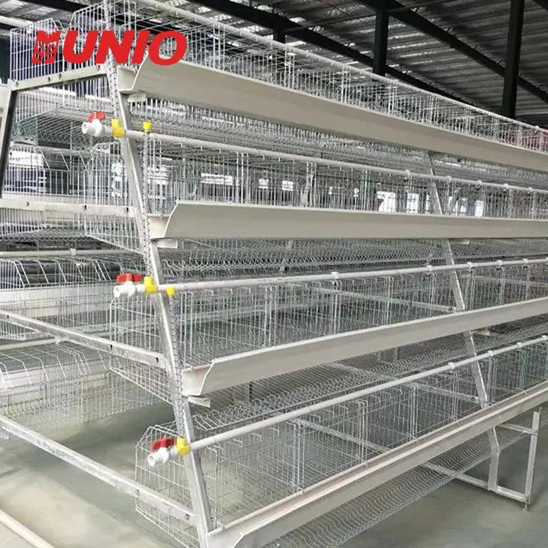 Hot Automatic Poultry Farming Cheap Layer Chicken Cage System For Chicken Coop