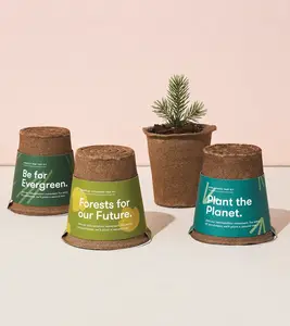 Customized Bonsai Grow Tree Kits Indoor Garden Kit Mini Grow Gift Items