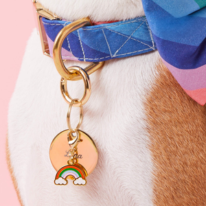 Collar de Acero Inoxidable con Baño de Oro PVD de 18K y Esmalte Colorido con Diseño de Arcoíris de la Suerte para Perros y Gatos, Venta al por Mayor, Joyería Personalizada para Mascotas - Product Image 2