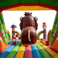 Structure gonflable combinée toboggan et château à rebondir sur le thème du lion de cirque et du clown, multicolore, pour enfants, aire de jeux d'aventure de carnaval, pour fêtes et usage commercial