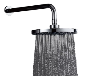 <span class=keywords><strong>8</strong></span>-дюймовая Экологичная насадка для душа - Product Image 1