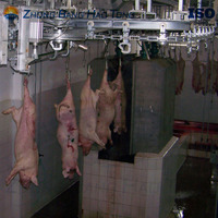 Mini abattoir ZBHT, équipement de transformation de la viande de porc, abattage à petite échelle, composants principaux, moteur, roulement, automatique/manuel