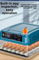 Incubateur d'œufs de caille mini format en promotion, taux d'éclosion élevé, retournement automatique, économie d'énergie, double tension, contrôle double de la température et de l'humidité