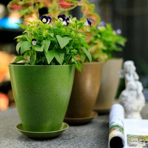 Pioneera-<span class=keywords><strong>Maceta</strong></span> de fibra ecológica de 15cm, <span class=keywords><strong>maceta</strong></span> decorativa biodegradable para uso en jardín <span class=keywords><strong>interior</strong></span> y exterior - Product Image 6