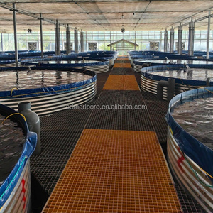 Bassin d'élevage commercial de tilapias, structure en acier galvanisé, revêtement en PVC, bassin rond pour aquaculture intensive en recirculation (<span class=keywords><strong>RAS</strong></span>) - Product Image 1
