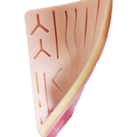 Kit d'entraînement de Suture chirurgicale multifonctionnel avec coussinet en Silicone souple
