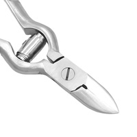 Pince à ongles en acier inoxydable en forme de calebasse à bec d'aigle, pour pédicure et ongles incarnés, approvisionnement direct usine
