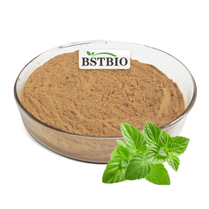 BSTBIO Mejor Precio Extracto de Planta de Catnip en Polvo / Extracto de Nepeta Cataria 10:1 - Product Image 1