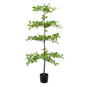 Plastic <b>Artificial</b> Terminalia Mantaly <b>Tree</b> UV Resistant Eco-Friendly Fire Retardant Customizable Height Modern Home <b>Outdoor</b> - Product Image 1