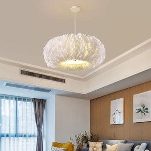 Trendy Nordic Style Feather Pendant <b>Light</b> for Girls Bedroom Dressing Room & Study for Home Use - Product Image 3