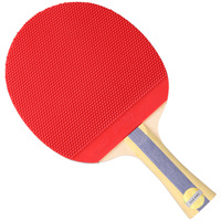 Raquette de tennis de table DHS 5 étoiles, caoutchouc long, raquettes de tennis de table professionnelles, lame de raquette de tennis de table