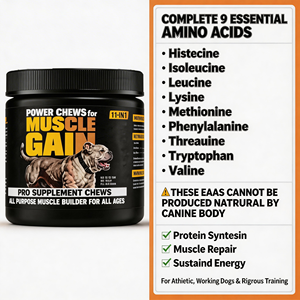 Masticables Blandos de Aminoácidos y Proteínas para Perros, Fortalecedores Musculares, Aumentan la Masa Muscular, Recuperación, Inmunidad y Salud Articular - Product Image 3