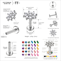 Clous d'oreilles en titane TT ASTM F136 avec zircon en forme de fleur, bijoux de piercing en titane de qualité implant G23, plaqué or