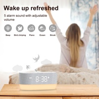 Machine à bruit blanc HiFiD avec chargeur sans fil, réveil musical sans fil, certifiée CE RoHS FCC, machine à sons pour le sommeil