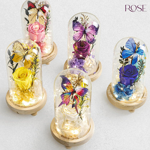 Luce Notturna a Forma di Rosa Eterna con Farfalla e Copertura <span class=keywords><strong>in</strong></span> Vetro, Ornamento Decorativo LED Creativo per Matrimoni e Compleanni - Product Image 1