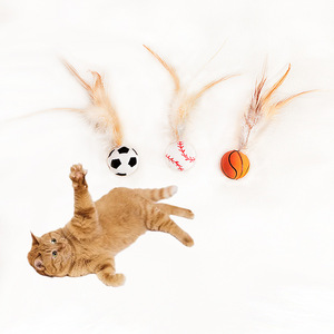 Balle rebondissante sur le thème du chat, jouet interactif pour chat, dispositif pour taquiner les chats, jouet pour animaux de compagnie. - Product Image 1