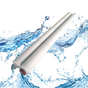 Cartouche filtrante plissée de 10 pouces avec membrane PES de 0,22 micron pour une stérilisation absolue - Product Image 1