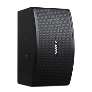 Altavoz activo para exteriores con sistema de sonido Dj de gran potencia de 10 pulgadas y 100W profesional de la venta al aire libre - Product Image 2