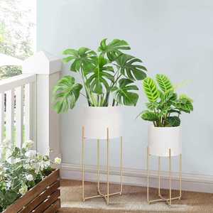 Large Multi-functional Powder Coated Metal Gold Luxury Iron Patio Plant <b>Support</b> <b>Flower</b> Stand Propagator Kit for Home Garden - Product Image 4