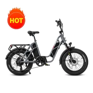 Fucare EU Stock Gemini 750W 48V 20.8Ah 400LBS Max Load Cargo E-Bike Dual Lithium Battery Long Range Electric Bike for Adult