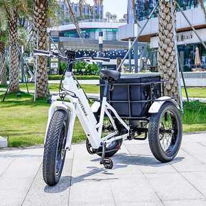 Tricycle électrique 750W pour personnes à mobilité réduite, E-Trike 20 pouces, 3 roues, pour adultes, entrepôt UE, vélo cargo électrique - Product Image 4