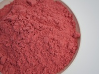 Poudre de fraise lyophilisée de haute qualité en vrac, poudre de jus de fruits rouges naturels pour smoothies, pâtisserie, colorant alimentaire