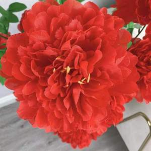 Flores de Peonía Artificiales, 5 Cabezas Grandes, Flor de Seda de 100cm 200cm, Decoración para Bodas y Hogar, Accesorios de Fotografía - Product Image 4