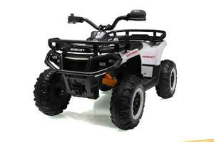 <span class=keywords><strong>Quad</strong></span> électrique 12V pour enfants, blanc et noir, avec deux porte-bagages, poignées de protection et éclairage LED, jouet tout-terrain robuste - Product Image 1