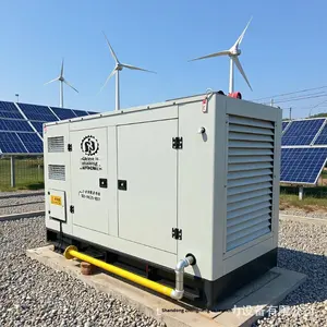 100kW 방수형 천연가스 수냉식 95% 효율 가스 발전기 EFI 발전기 세트 모델 SE100BF 50Hz 230V - Product Image 1