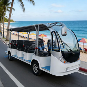 Navette électrique touristique populaire avec moteur électrique 4 roues - Véhicule de loisirs - Product Image 2