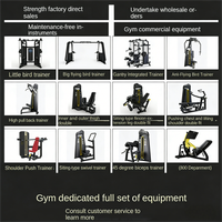 Ensemble complet de machines pour l'entraînement de force : presse pectorale et extensions dorsales (haut et bas) – Équipement de gym professionnel