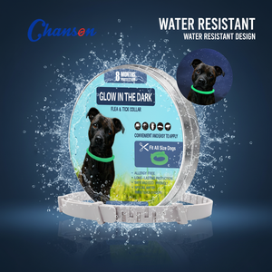 <span class=keywords><strong>Collar</strong></span> Antipulgas y Garrapatas Natural y Seguro <span class=keywords><strong>para</strong></span> Mascotas, Protección <span class=keywords><strong>de</strong></span> 8 Meses, <span class=keywords><strong>para</strong></span> Perros y Gatos - Product Image 1