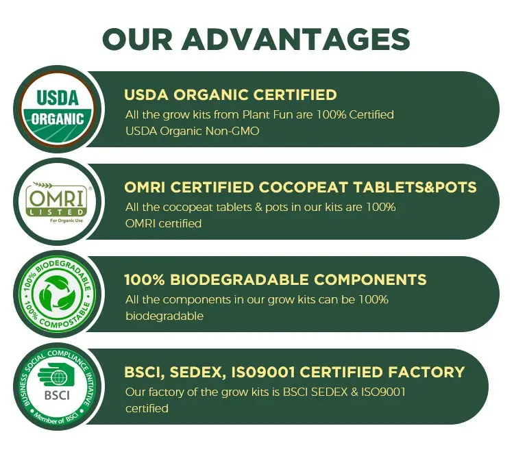 ノベルティギフト認定USDAオーガニック非GMOハーブ屋内野菜キッズガーデンキットツールハンドツールチェリートマトレタスキャロット