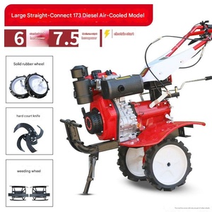 Piccola Motozappa Diesel Portatile per Uso in Orti e Frutteti - Product Image 1