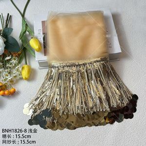 Nouvelle idée 2025, dentelle à sequins de 15 cm, franges en maille multicolores, robe de mariée sexy, dentelle décorative à franges - Product Image 3